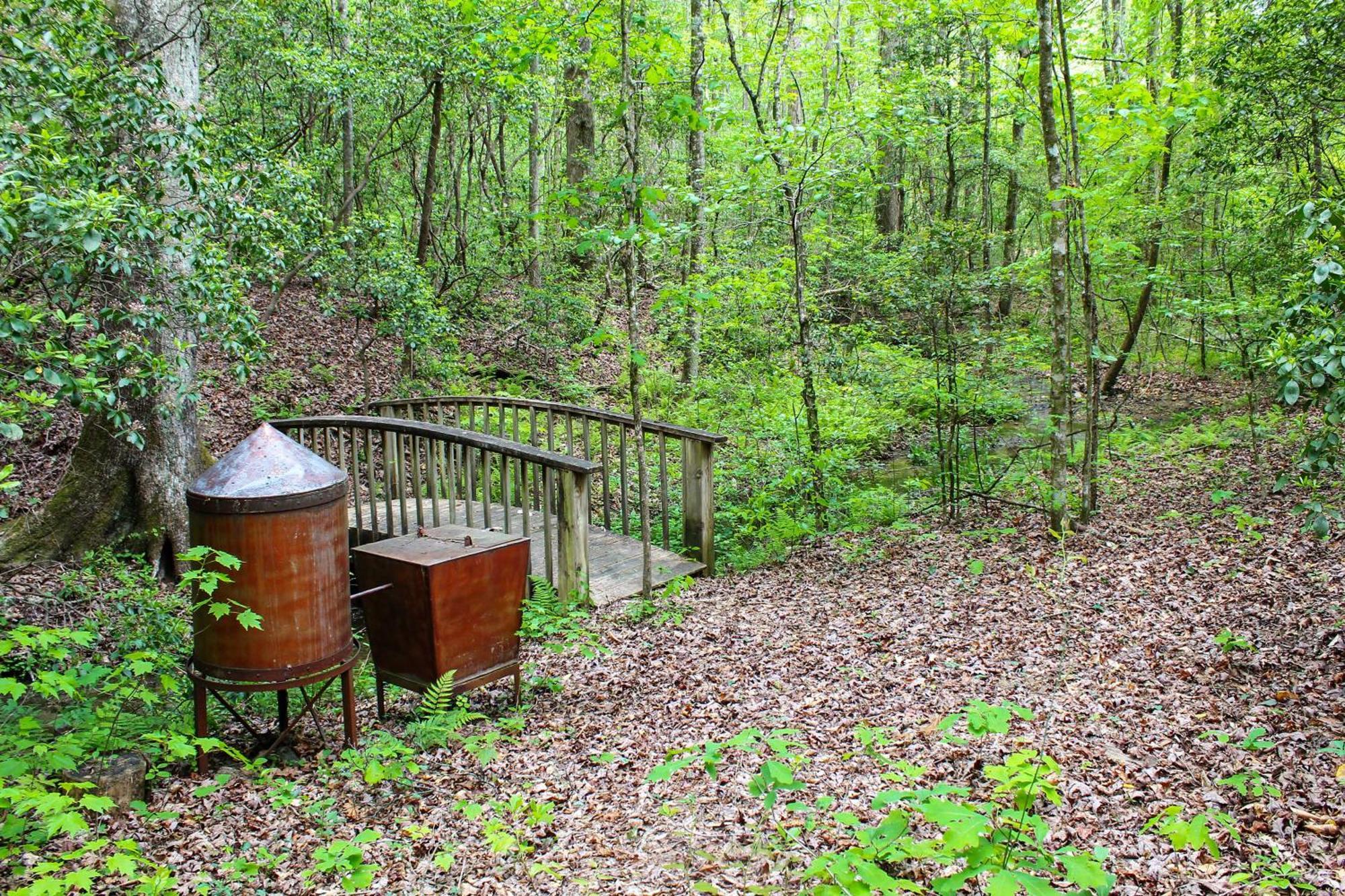 Sautee Nacoochee Mtn Paradise With Spacious Deck! Eksteriør billede